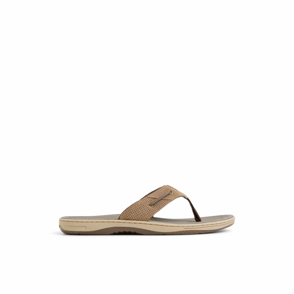 Baitfish Thong Sandals