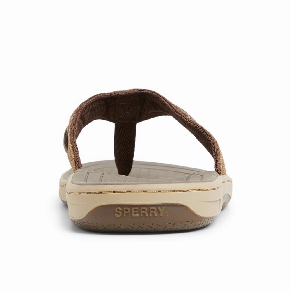 Baitfish Thong Sandals