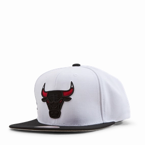 Bulls Playoff Wins Snapback